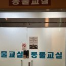 다둥이카 서비스 이미지