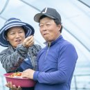 정재원농장 이미지