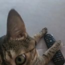 하루맘마 이미지