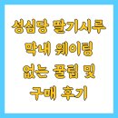막내 | 성심당 딸기시루 막내 웨이팅 없는 꿀팁 및 구매 후기