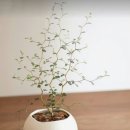 티아공인중개사사무소 이미지