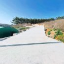 서해바다 저렴한 힐링쉼터 토지 150평 3000만원 이미지