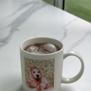 프로네앞마당 이미지