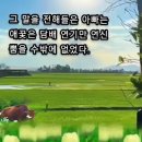 유머ㅡ빨랫감 이미지