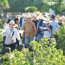 오조리-8 이미지