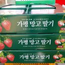 한상기 농장 네이버블로그