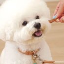 페피밀 이미지