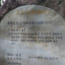 도송 이미지