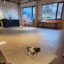 파인트리비 이미지