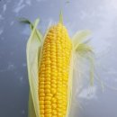 으니농장 이미지