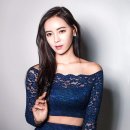 스프링데이 이미지