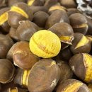 자연농장 이미지