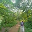 식장산 숲길 이미지