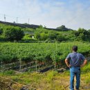 무너미농장 이미지