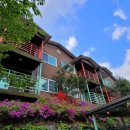 화양빌리지펜션 이미지