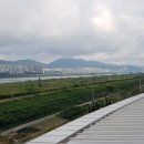 김해금관가야 네이버블로그