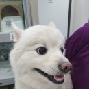 원스동물병원 이미지