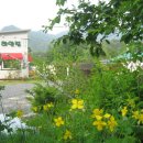 개미펜션 이미지