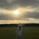 터틀팜 | 미야코지마 4박5일 Day 4-5(블루터틀 팜 망고카페,스나야마 비치,오리온 불꽃축제, 닝긴커피,시모지공항...