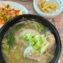 소나무집 이미지