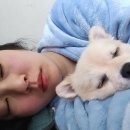 이발하개 네이버블로그
