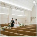 더리시안 이미지