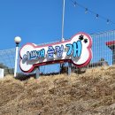 이쁘개즐겁개 | 충북 보은 애견동반숙소 이쁘개즐겁개 펜션 행복했던 1박 후기