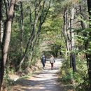 미륵산 연수원 이미지