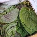 서진농장 이미지