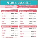 펫 이발소 이미지