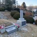 심상우묘 이미지