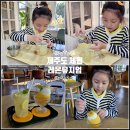 원앙농장 | 가을 겨울 제주도 이색 체험 제주 카페 추천 레몬뮤지엄