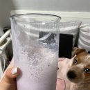 강동김내과의원 | 3월일상<3/11~3/20 그릭요거트, 아빠 코로나 확진, 세븐피엠 리얼콤 앞머리매직, 와이츄 속눈썹펌...