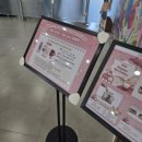 인천국민안전체험관 앞 사거리 | 35개월 아기랑 오산 미니어처빌리지 실내 체험 경기도 국민안전체험관