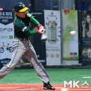 박혁동 카카오 검색결과