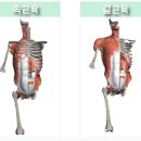 페리필라테스