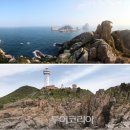 봄마중(2월에는) 이미지