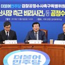 금강신세 이미지