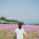 광의사거리 이미지