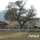 백운면 2066 이미지