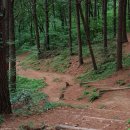 잣나무약수터 이미지