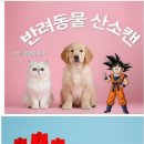 양이멍이 이미지