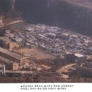 장성여자중학교 네이버블로그