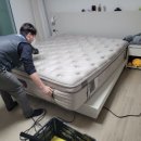 에코클린 침대소파카페트 울산본점 이미지