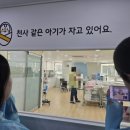 금빛여성의원 이미지