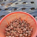 강회농장 이미지