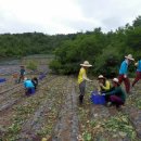 동덕2리 이미지