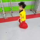 대룡태권도본관 이미지