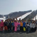 행복한 태권 스쿨 이미지