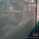 서귀포2청사 티스토리